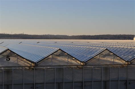Metrolina Greenhouses | American Galvanizers Association