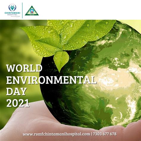 The Environment Day 的图像结果