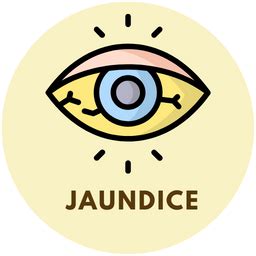 Jeevan Ayurveda: Pure Ayurvedic Supplements for Liver Health & More