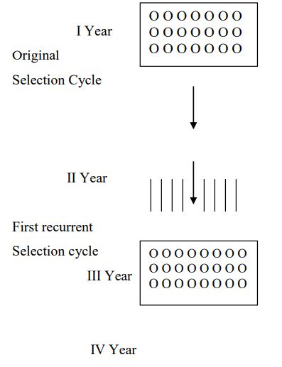 Mass and Recurrent Selections, Combining Ability - 3 - Agriculture Optional