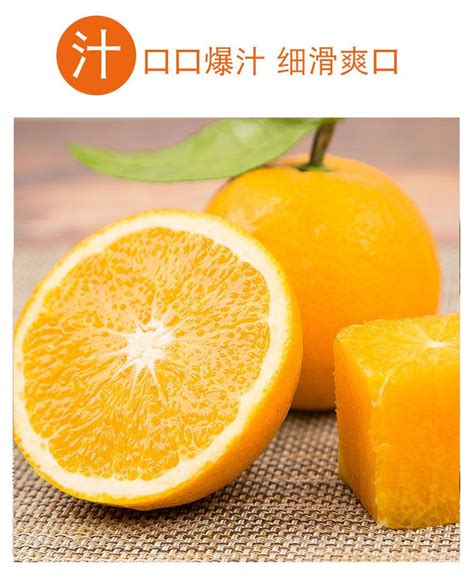 湖南永兴：小小一颗冰糖橙 成就甜蜜大事业-中国科技网