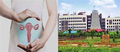 State Level Monitoring Committee: गर्भाशय निकालने के नाम पर मरीजों को ...