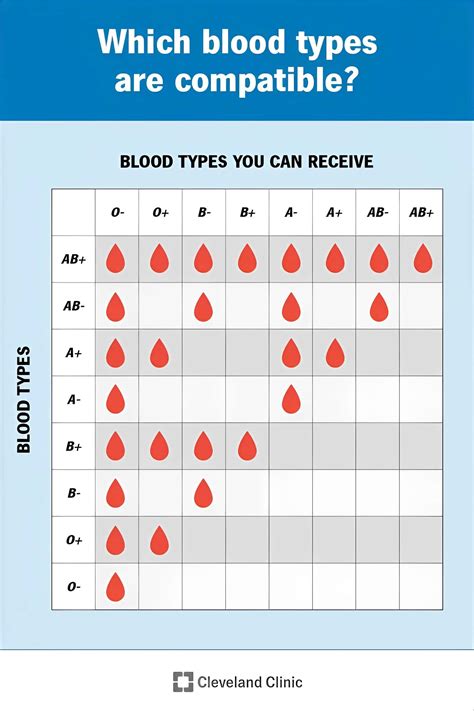 Free Printable Blood Donation Charts [Types Explained - A, B, AB And O]