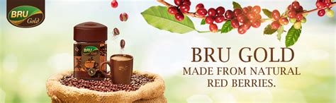 BRU Gold Instant Coffee Powder 100 g Jar, 100% Pure Ground Coffee ...