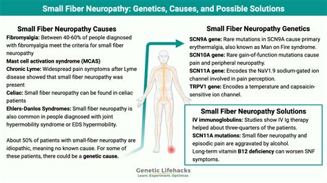 Small Fiber Neuropathy Life Expectancy