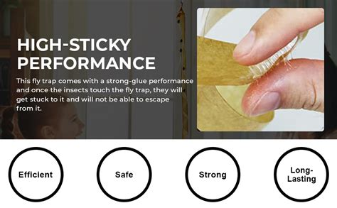 Supvox® 16Pcs Fly Trap Kit for Insects, Whiteflies, Aphids, Leaf Minor ...