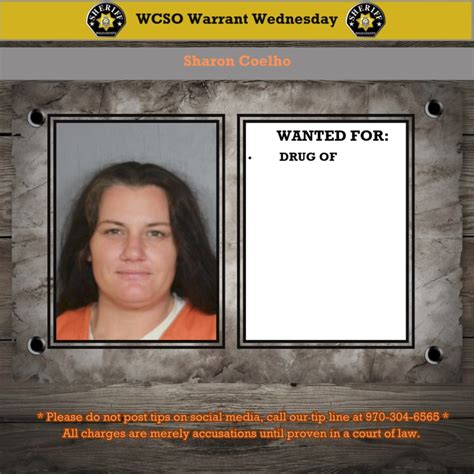 Warrant Wednesday 36 101624 | ⭐WCSO WARRANT WEDNESDAY-CAPTURE CREDITS⭐ ...