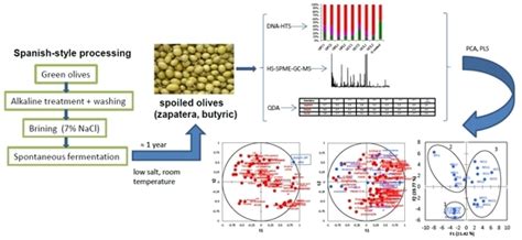 Microbiota and Metabolite Profiling of Spoiled Spanish-Style Green ...