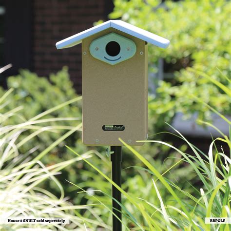Birds Choice Bluebird House Pole Set, 54 inch - Wayfair Canada