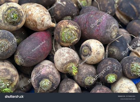 Image result for Multigraph Figure Example