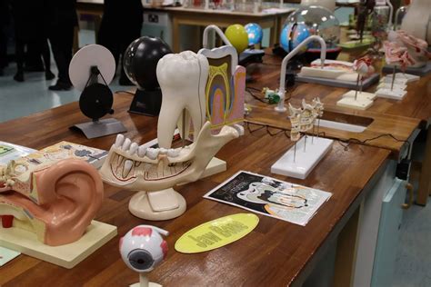 Image result for JR Tutorials Science