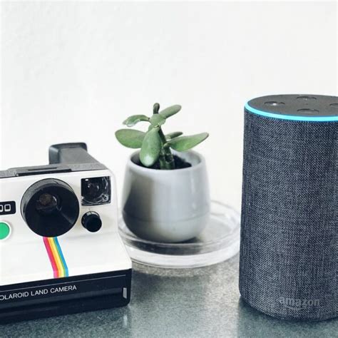 Alexa Self-Destruct Code 的图像结果