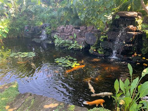 Luxury Koi Ponds Dispersed Within Super Beautiful Homes Along Big ...