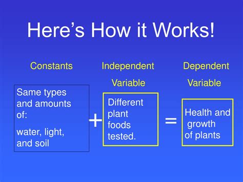 Variables Explained 的图像结果