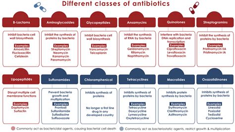 Image result for Antimicrobial Examples