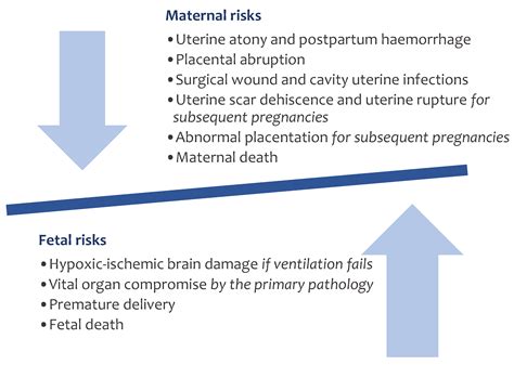 A Detailed Exploration of the Ex Utero Intrapartum Treatment Procedure ...