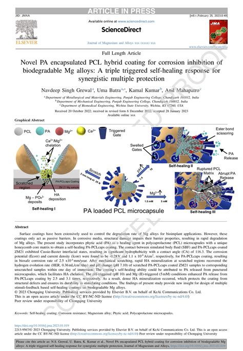 Navdeep Singh Grewal , PhD on LinkedIn: #selfhealing #coatings # ...