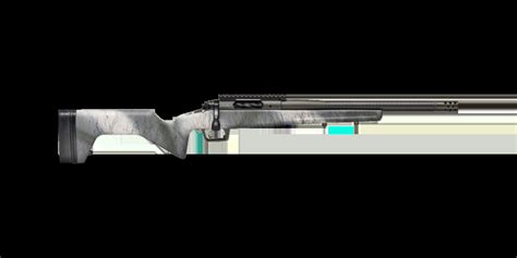 Image result for Springfield Armory Model 2020 Boundary