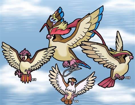 Image result for Pidgey Evolution Level