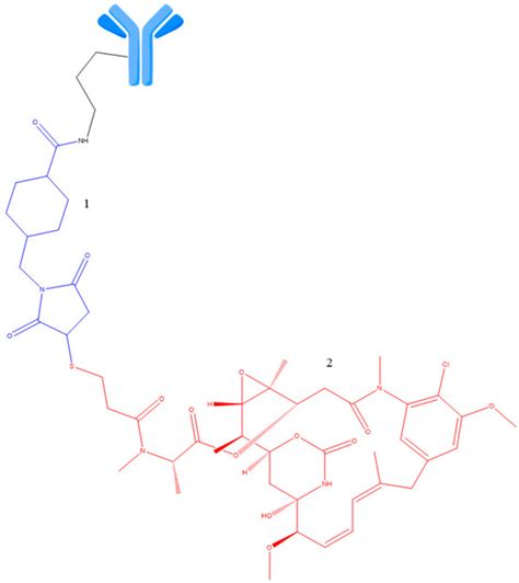 Antibody–Drug Conjugates—Evolution and Perspectives