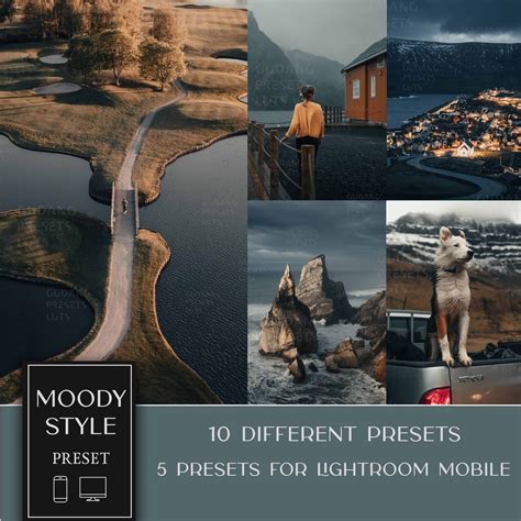 Jual Moody Style Lightroom Premium Presets Mobile Desktop IOS Android ...