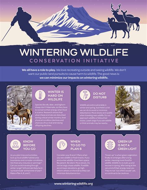 Introducing Wintering Wildlife Conservation Initiative 2024 - Winter Wildlands Alliance