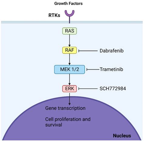 Low-Grade Gliomas: Histological Subtypes, Molecular Mechanisms, and ...