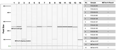 Retrospective Analysis to Optimize the Detection of MET Exon 14 ...
