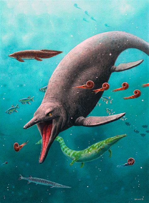 Earliest Triassic Ichthyosaur Fossils Unearthed on Spitsbergen | Sci.News