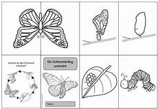 ausmalbild schmetterling und raupe 19 best ausmalbilder schmetterling und raupe ausmalbild schmetterling und raupe 19 best ausmalbilder schmetterling und raupe