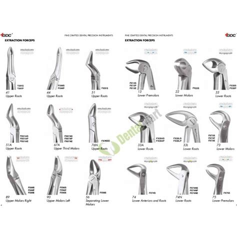 Forceps GDC Standard - Dentalmart