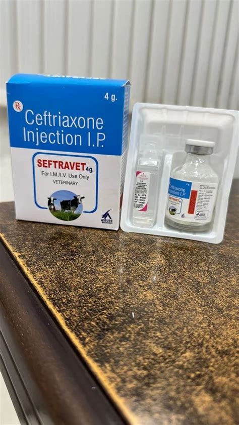 Veterinary Injection - Meloxicam Injection 5 Mgml Manufacturer from ...