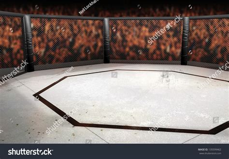 UFC Boxing 的图像结果