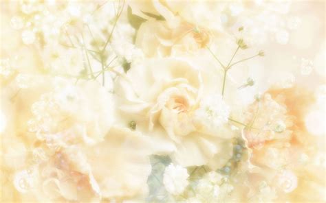Wedding Background Wallpaper (63+ pictures) - WallpaperSet