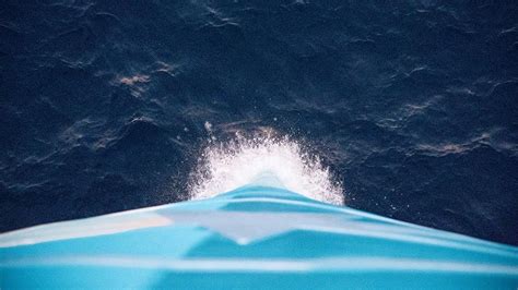 The cost of unreliable ocean shipping and how to improve supply chain ...