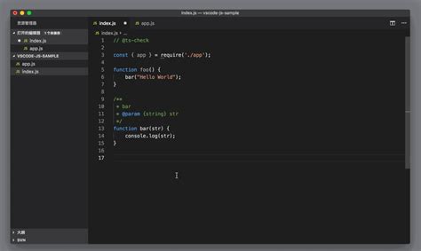 Vscode JavaScript Problem 的图像结果