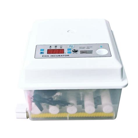 Buy Egg Incubator for Hatching Eggs,16 Eggs Digital Mini Incubator with ...
