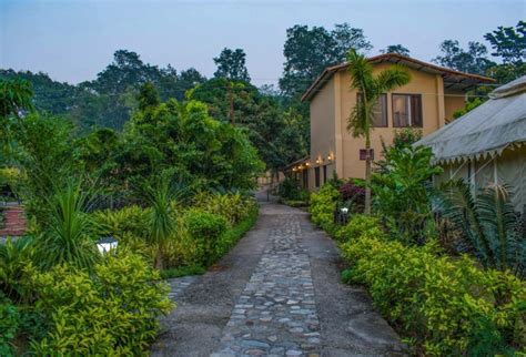 Corbett Tiger N Trees Resort is located in Kyari Kham, Corbett Resorts