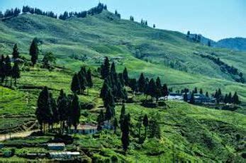 Ilam in Ilam, Eastern Region Nepal - reviews, best time to visit ...