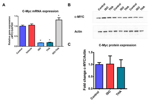 Isotretinoin and Thalidomide Down-Regulate c-MYC Gene Expression and ...