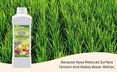 Amway Apsa Liquid - 80 (Clear, 1L) : Amazon.in: Garden & Outdoors
