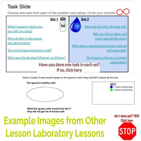 Image result for Expert Science Lesson