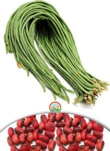 Agro Max Cowpea (Lobia) Vegetable Seeds Seed Price in India - Buy Agro ...