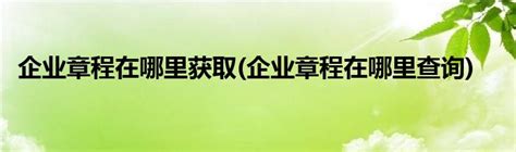 上海公司如何调取企业章程？_查好