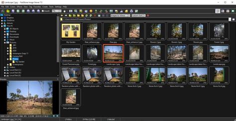 Picasa Replacement: Best Photo Management Tools - MobyGeek.com