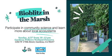 Heal the Bay BioBlitz - 2025 L.A. City Nature Challenge, 27 April 2025 ...