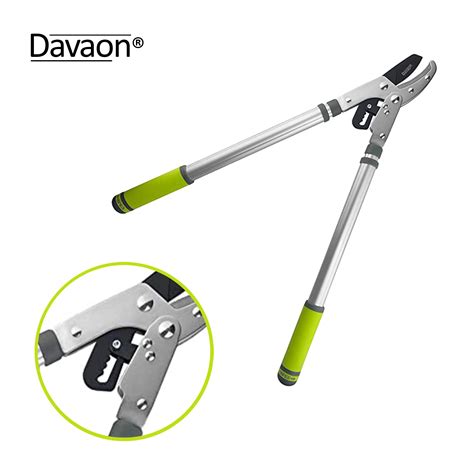 Buy Professional Tree Loppers for Gardening - Heavy Duty Telescopic ...