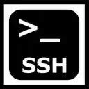 Online SSH Client 的图像结果