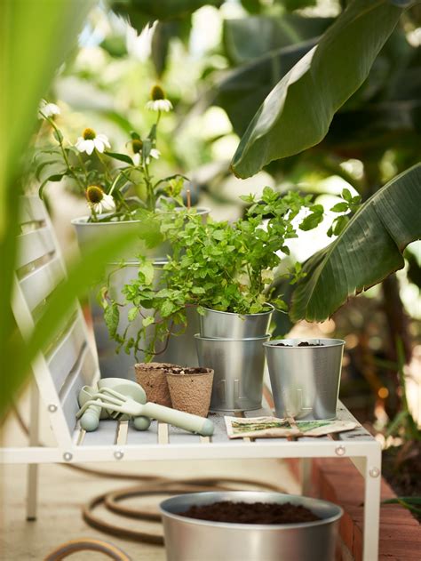 Buy Outdoor Pots and Garden Trellis at an Affordable Price - IKEA