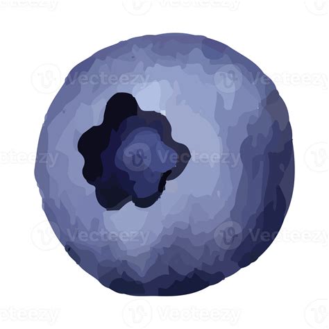 Blueberry Watercolor Clip art Element Transparent Background 24186926 PNG